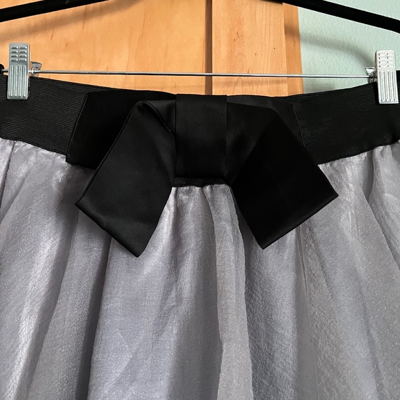 Sheer Silver Gray Fully Lined Skirt w/ Black Stretch Waistband Size Large NWT - Picture 2 of 6